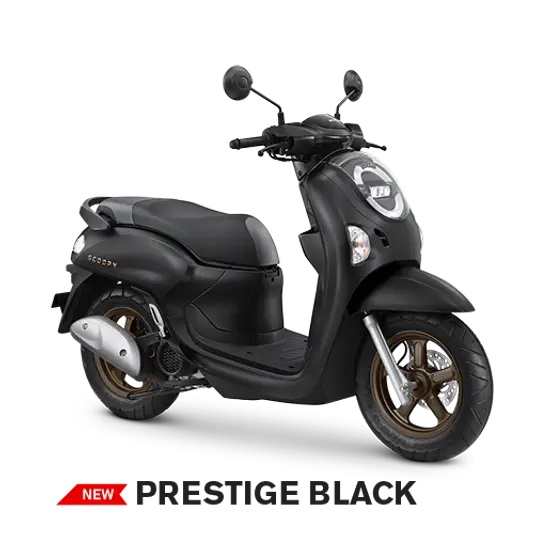 Scoopy - 