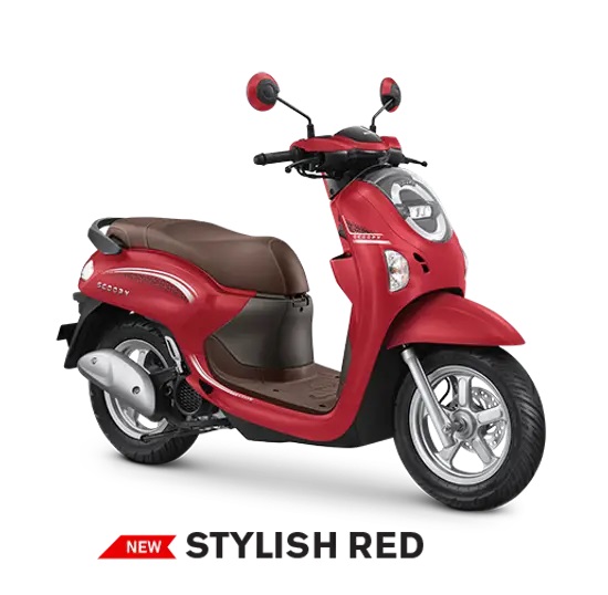 Scoopy - 